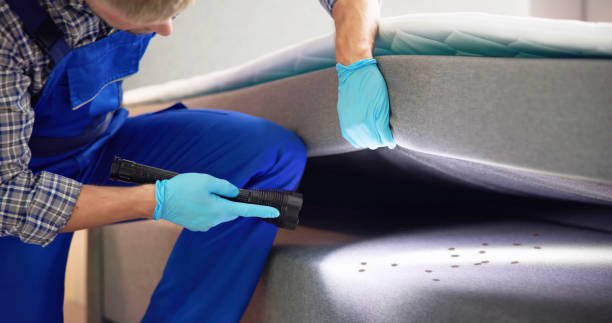 Professional Pest Control in Sierra Vista, AZ