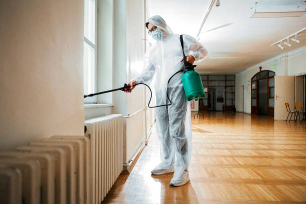 Best Affordable Pest Control Services  in Sierra Vista, AZ